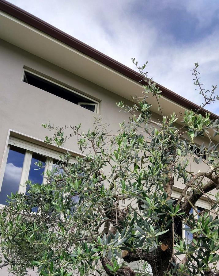La Locanda Francigena Bed & Breakfast Лука Екстериор снимка